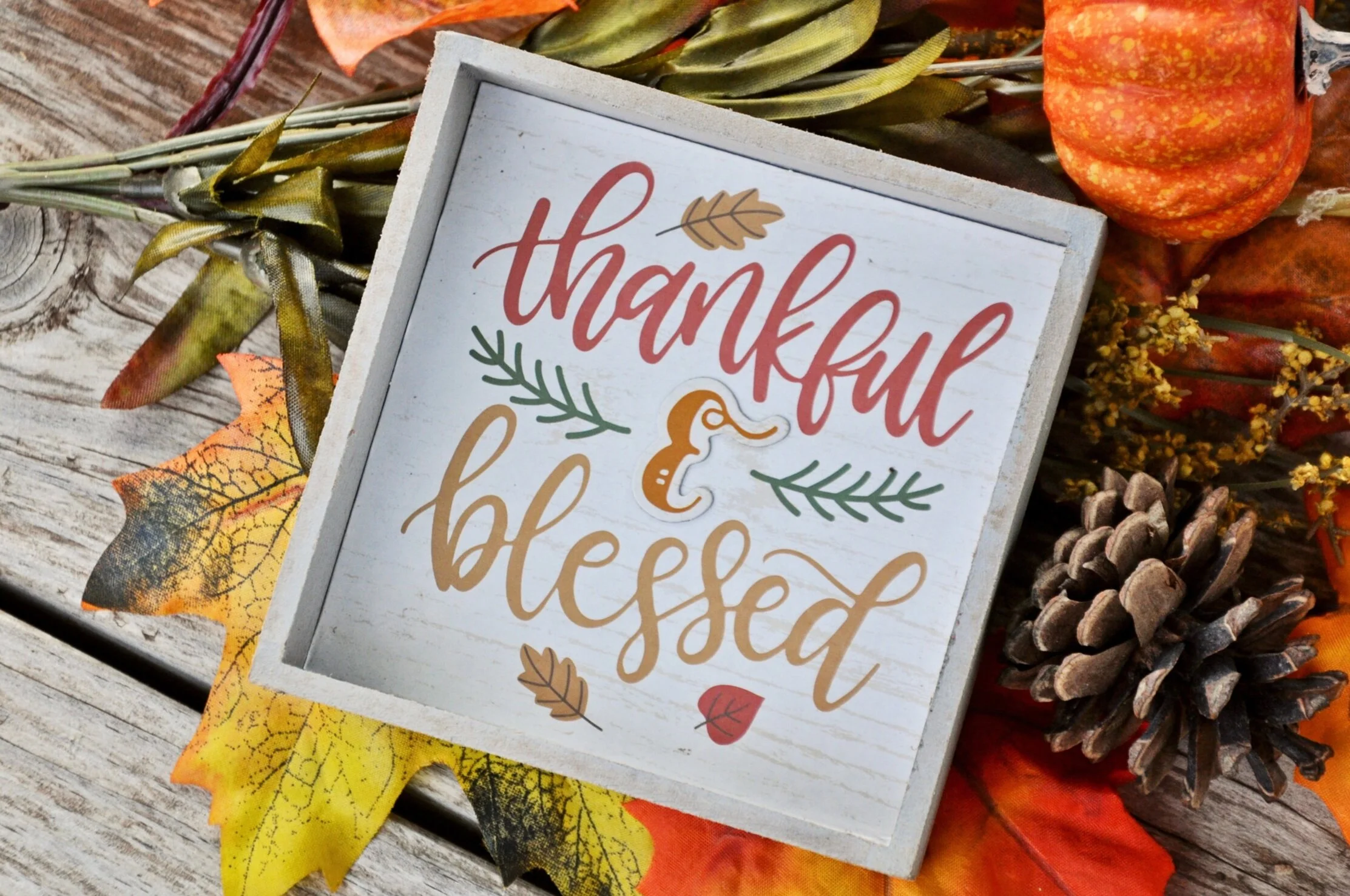 What I Am Thankful For