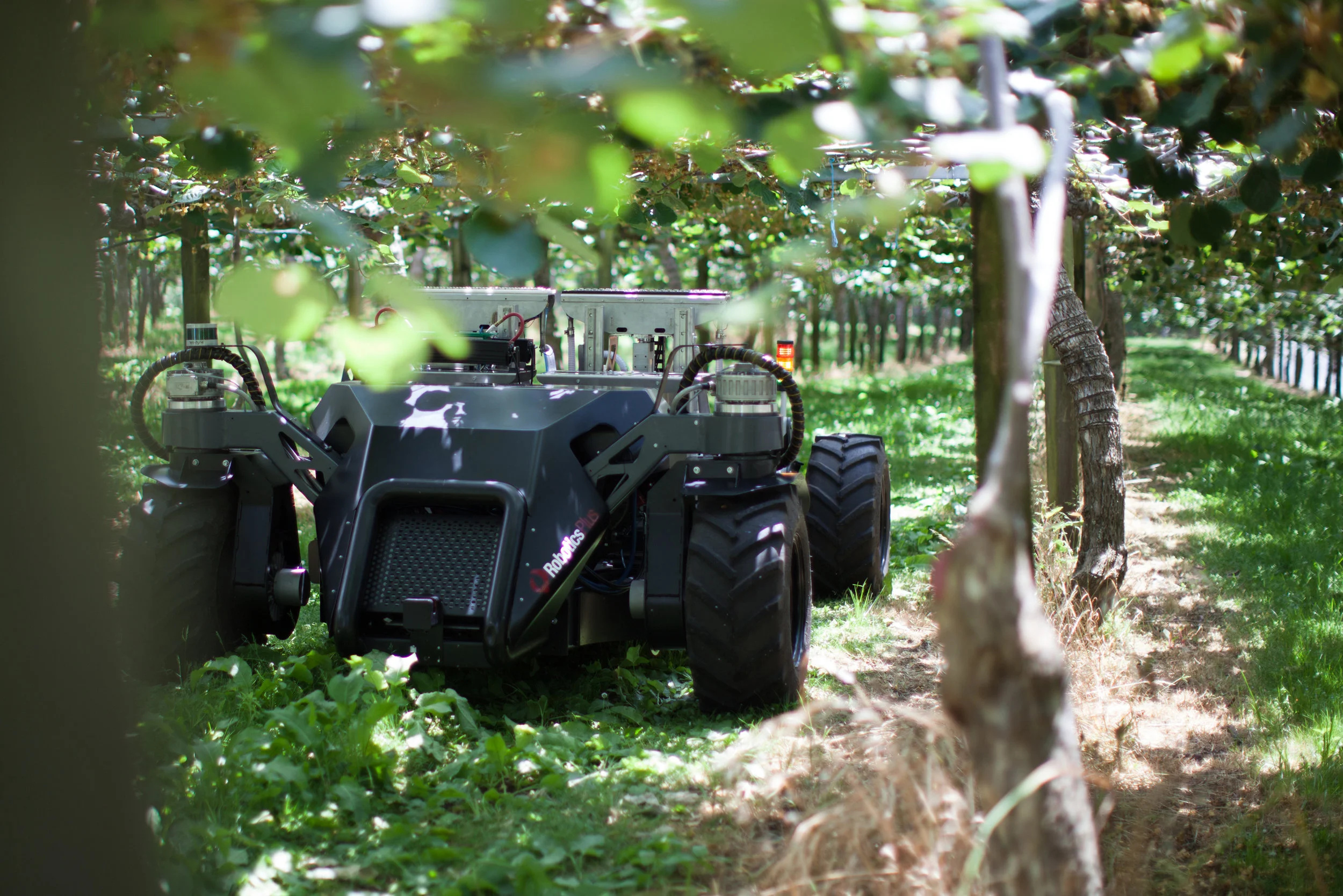 AMMP Marketing - (RPL) (8).jpg