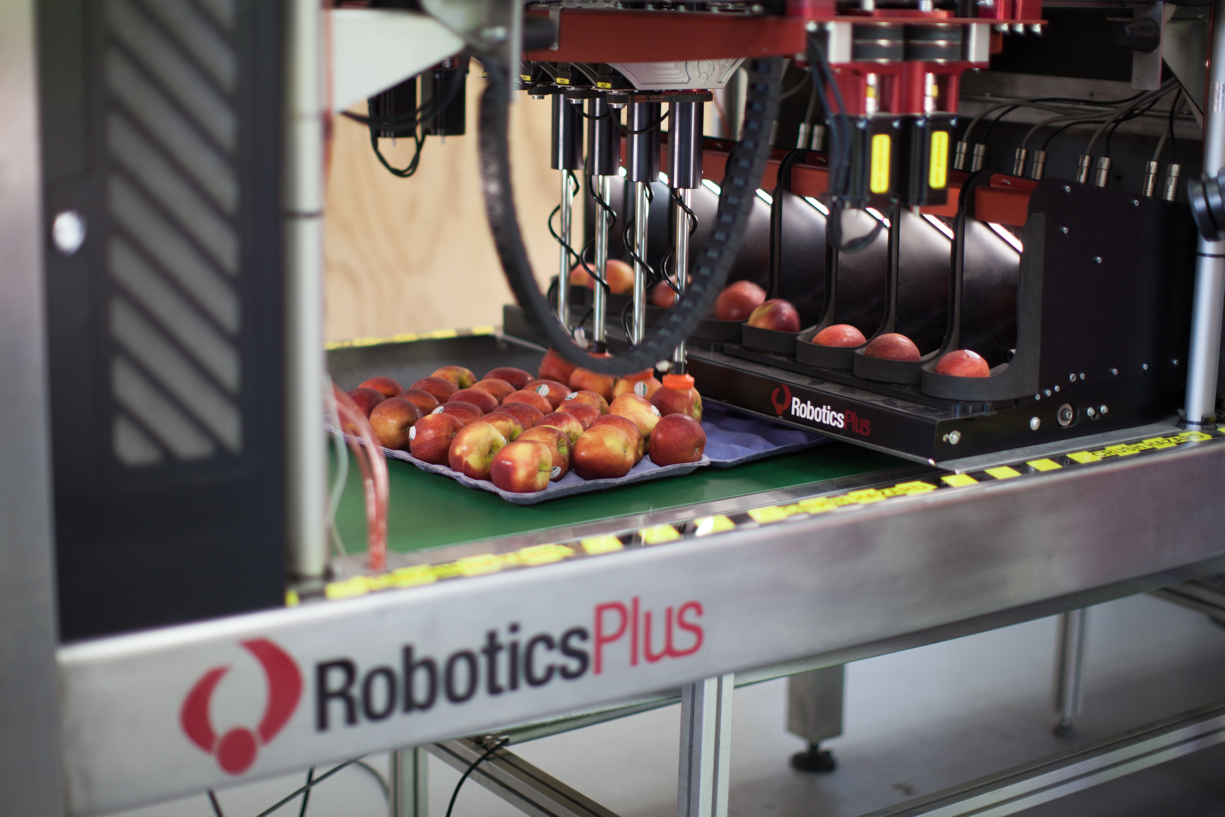 Robotics Plus signs global deal for robotic apple packers