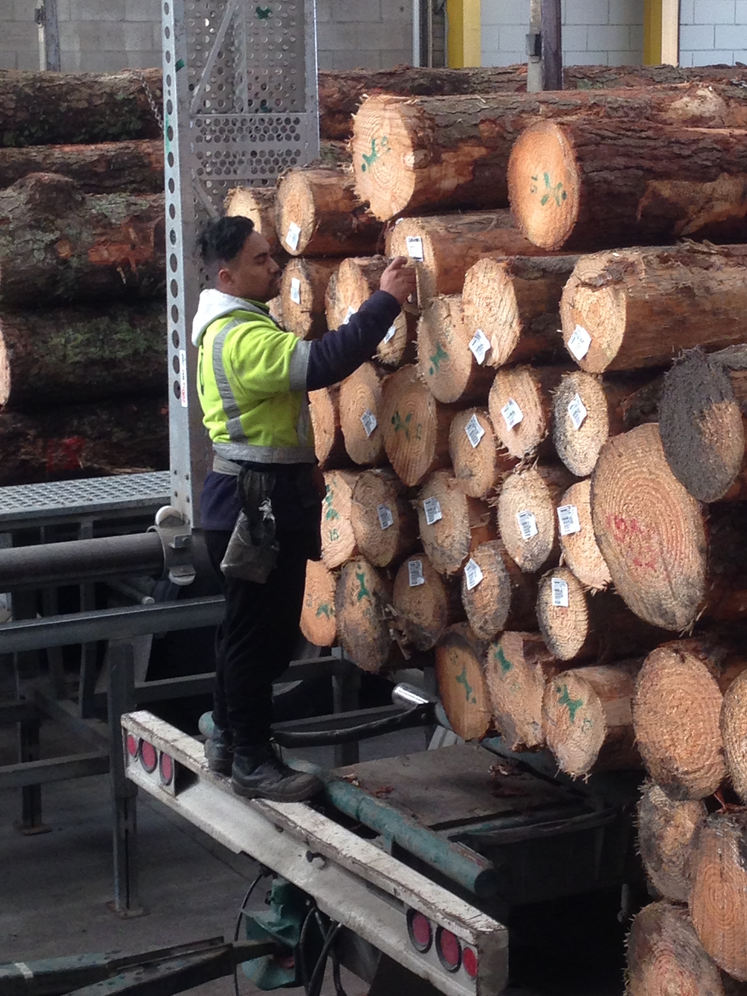 Scaler Marketing - (RPL) (3).JPG