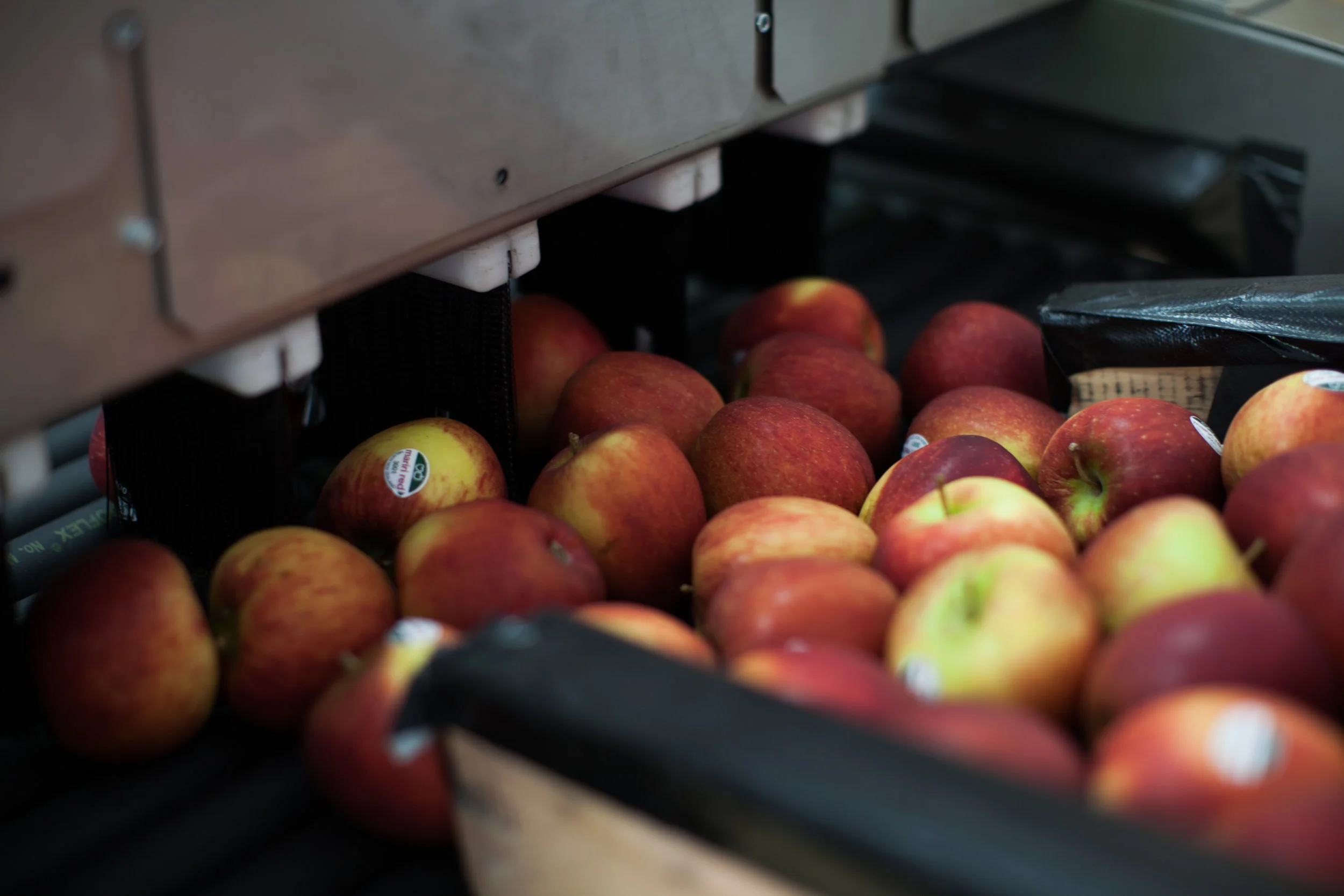 Media Release - Robotics Plus receives investment from Yamaha Motor to power up agricultural automation