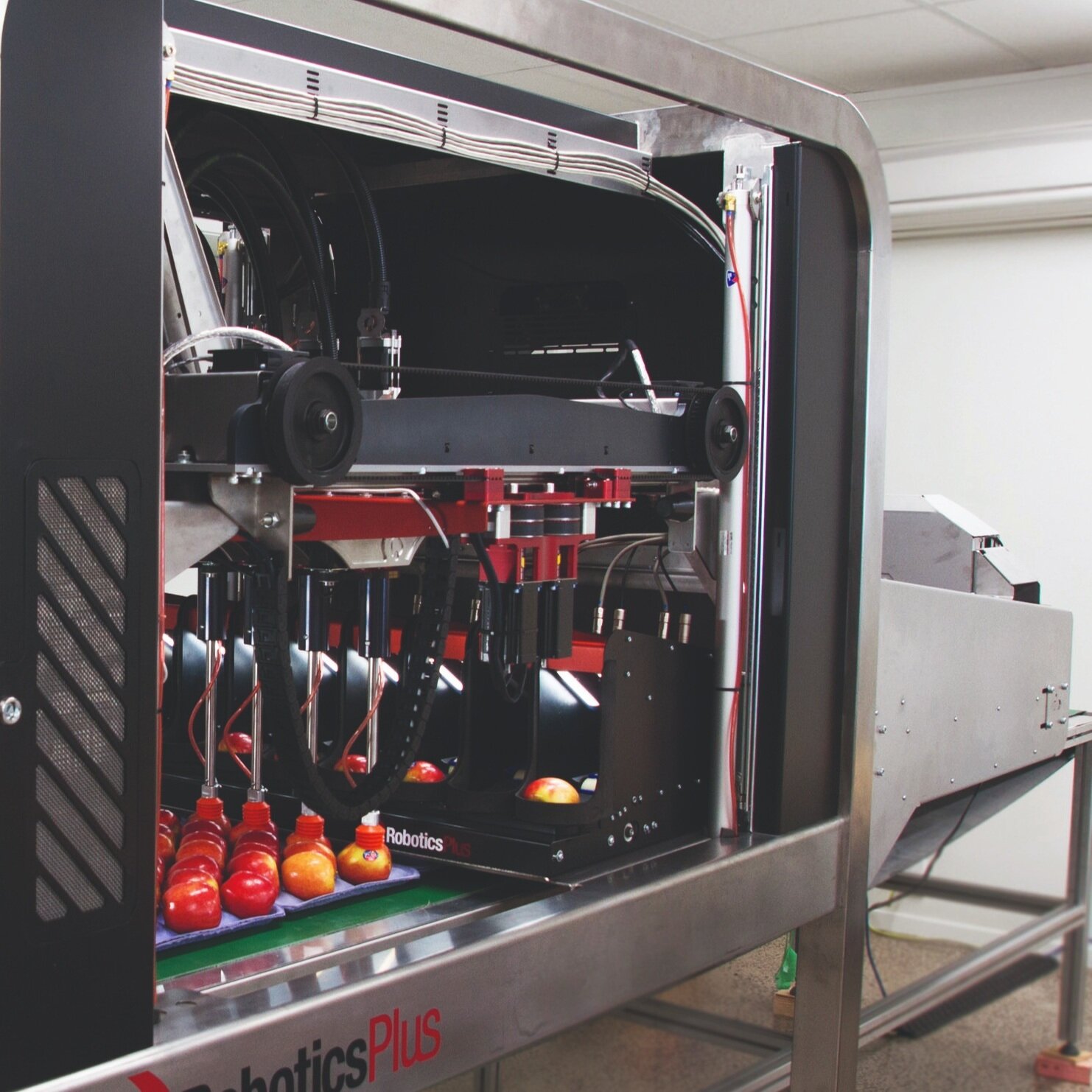 Robotics-plus-new-zealand-robotic-apple-packer-2