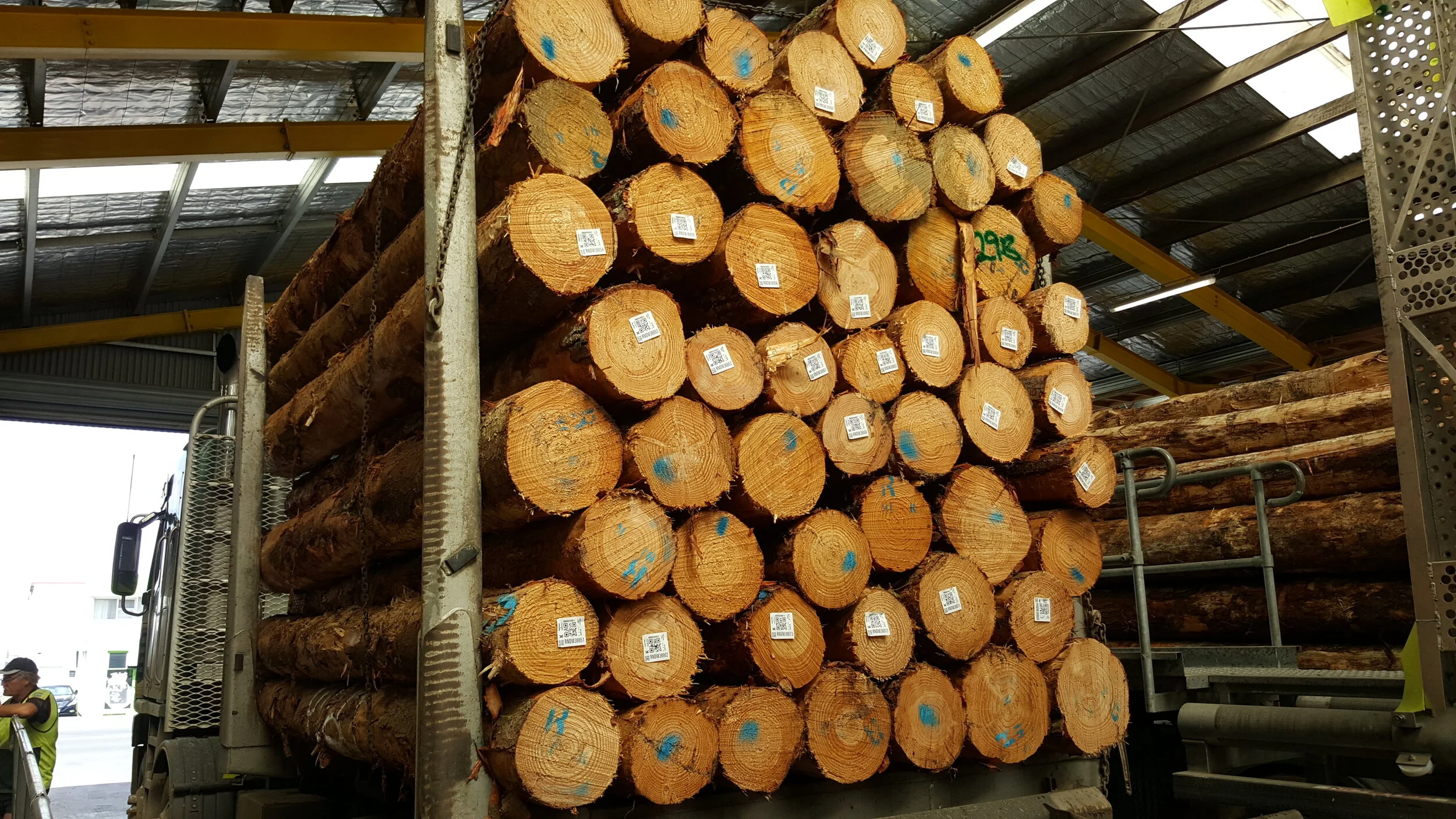 Scaler Marketing - (RPL) (2).jpg