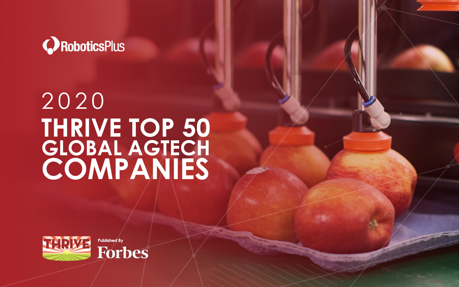 Thrive for Approval.jpg