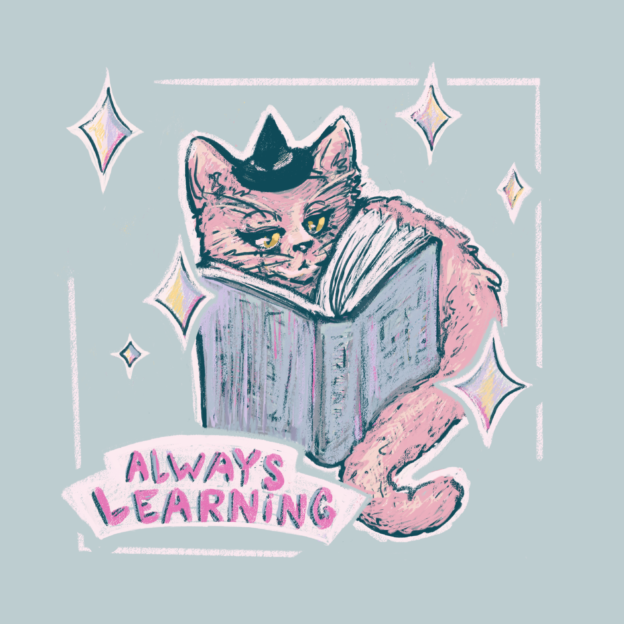 Catbook.png