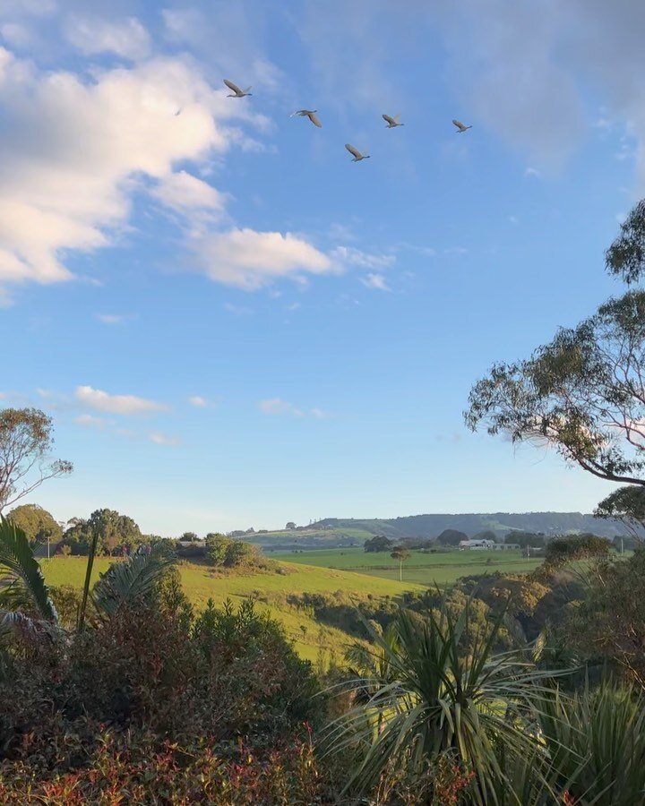 We are looking forward to see through another rural project at one of New South Wales most picturesque suburbs 🍁