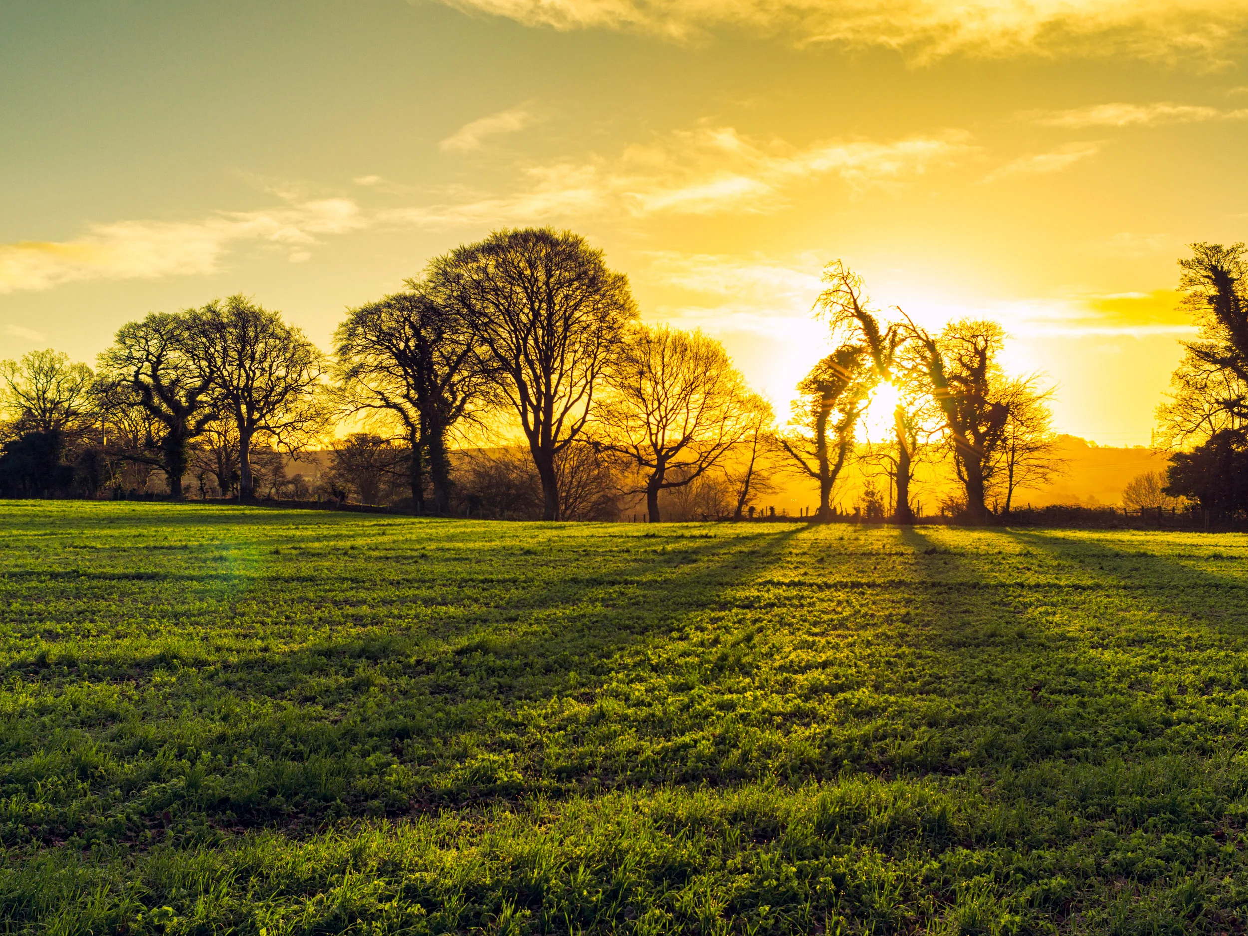 iStock-912748326.jpg