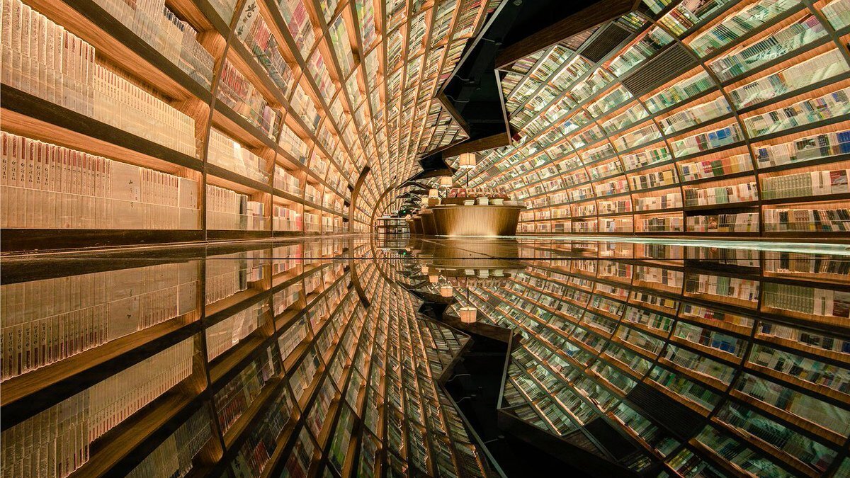Kramer_Burak+Caliskan+Mirrored+Library.jpg