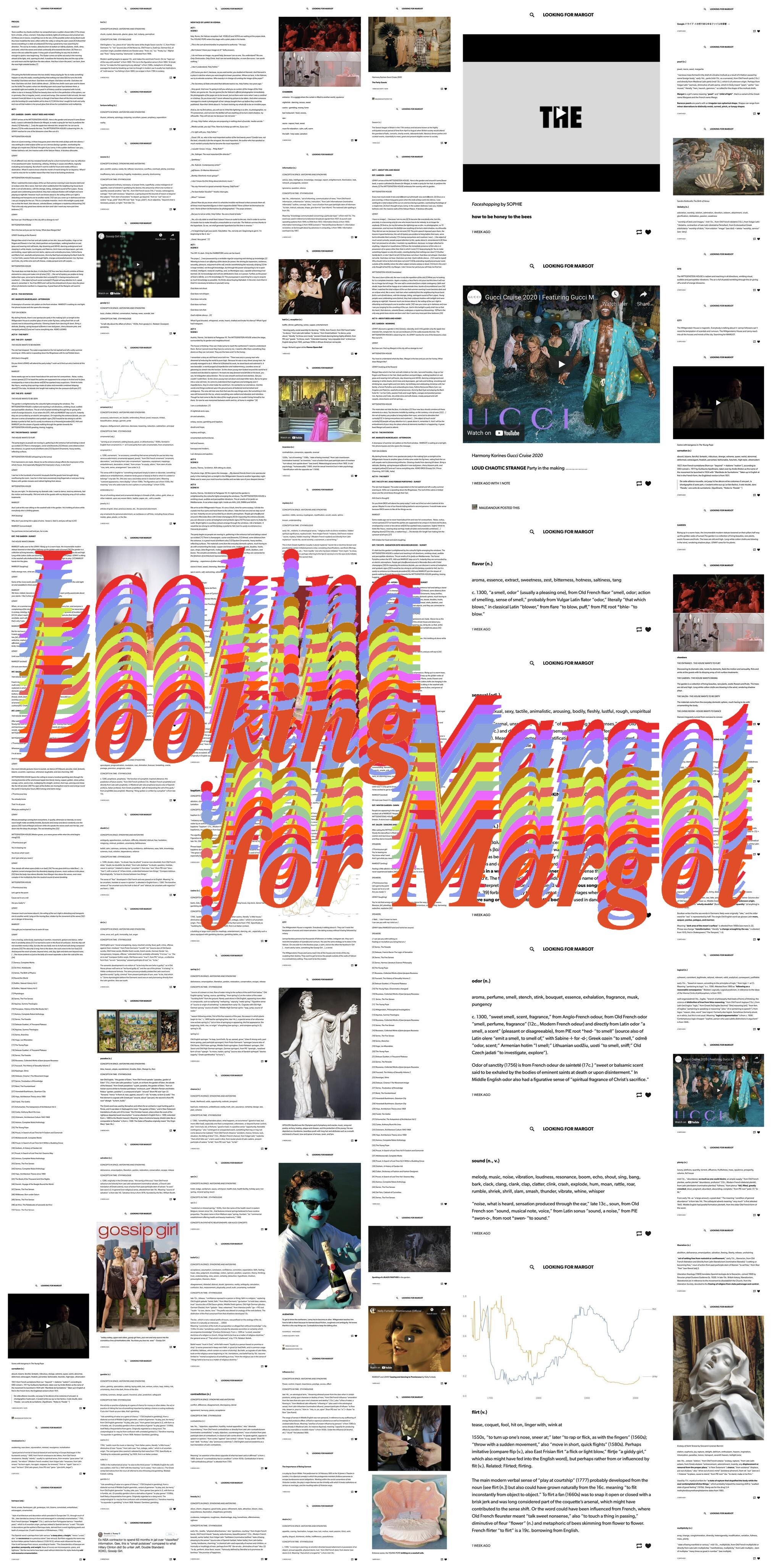 Looking for Margot.jpg