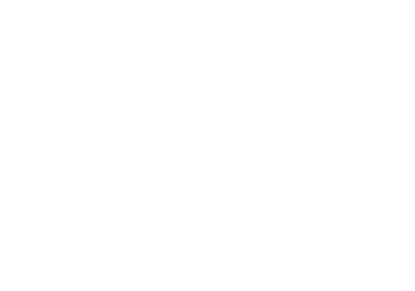 Axon Telematics 