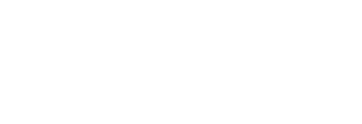 Nordic Inertial