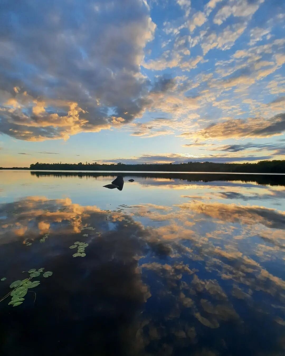 &Aring;h, Sm&aring;land. Sj&oslash;ene dine og lyset ditt og stillheten mellom trekronene. Og s&aring; littja mi, da. Som er s&aring; ny i livet og samler p&aring; alt. N&aring; har ogs&aring; pappaens spr&aring;k trukket inn i henne. &quot;Titta, ma