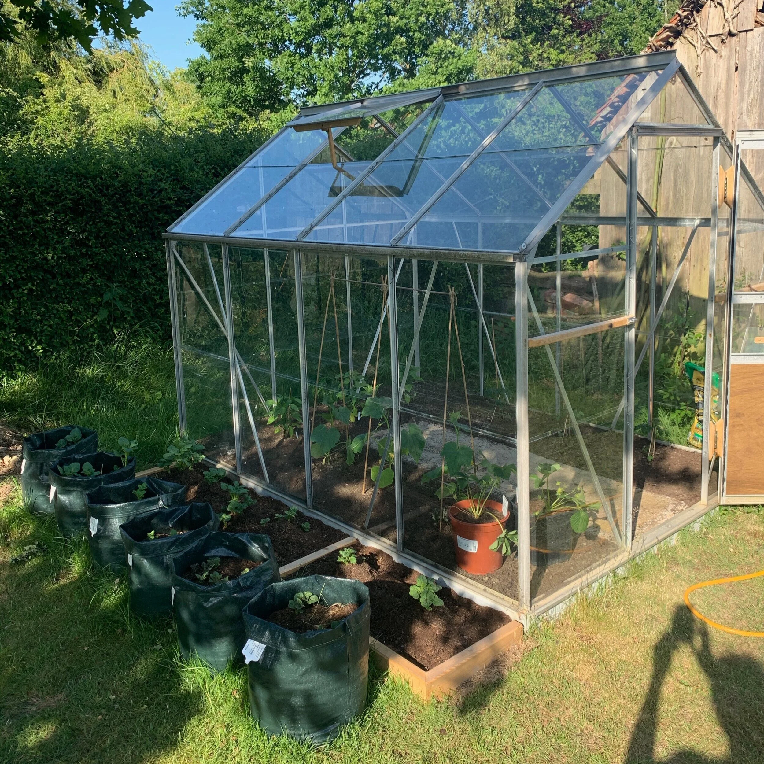greenhouse.jpg