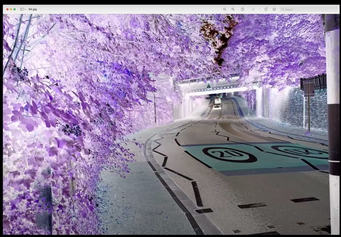 Screen Shot 2021-11-17 at 2.07.43 PM.png