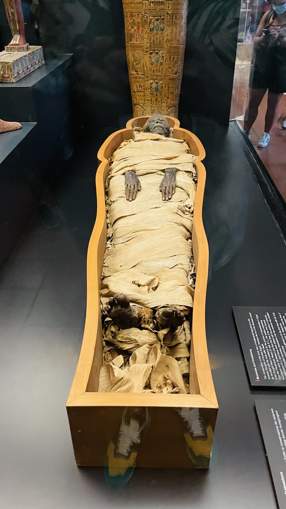228 Mummie.jpeg