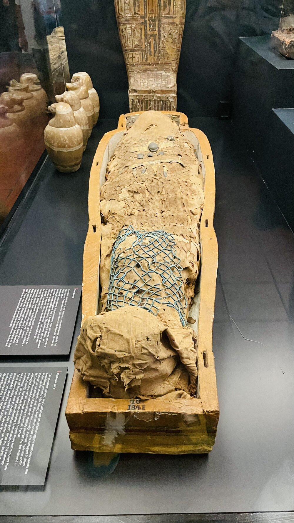 229 Mummie.jpeg