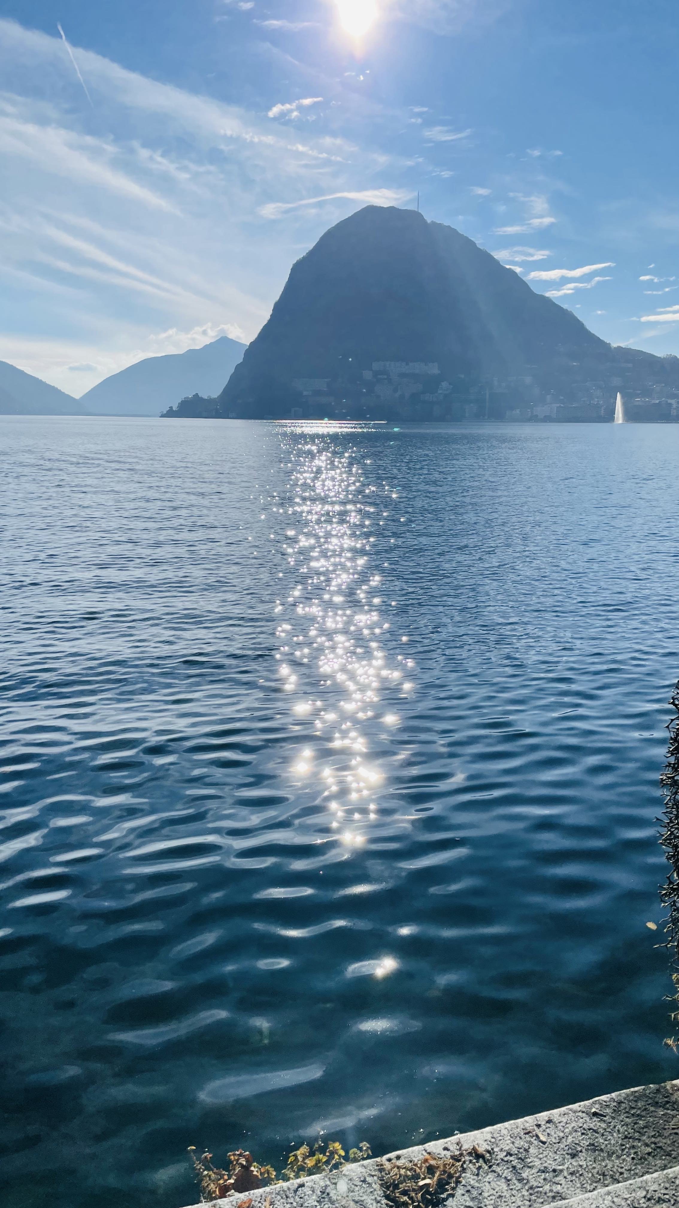 78 Cancello sul lago di Lugano.jpeg