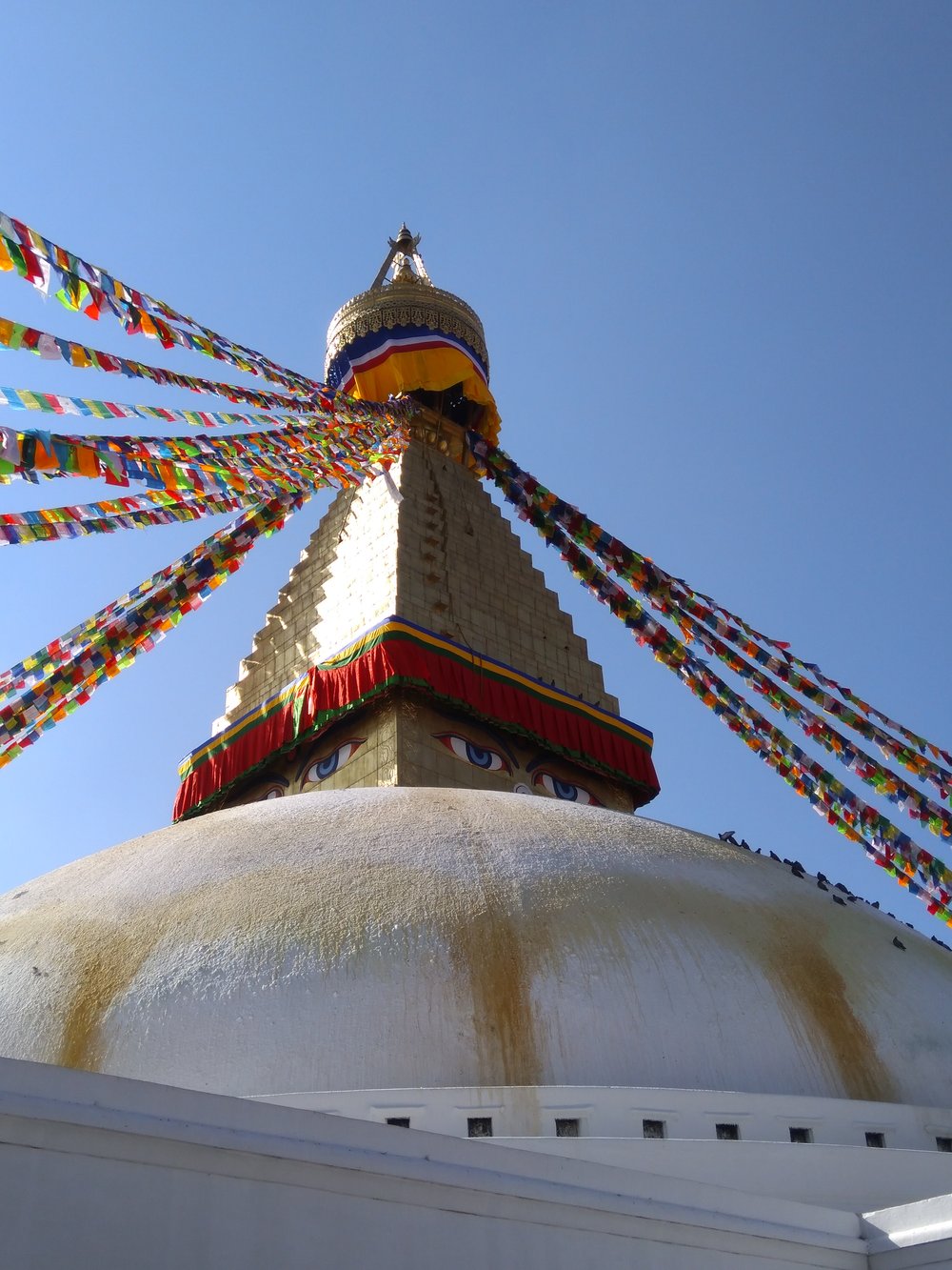 IMG_20171209_112445 The Great Boudha Stupa, Kathmandu.jpg