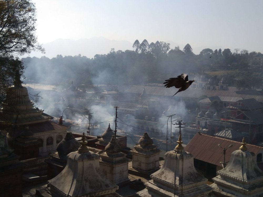 IMG_0143 Pira funeraria a Pashupatinath Temple, Kathmandu.JPG