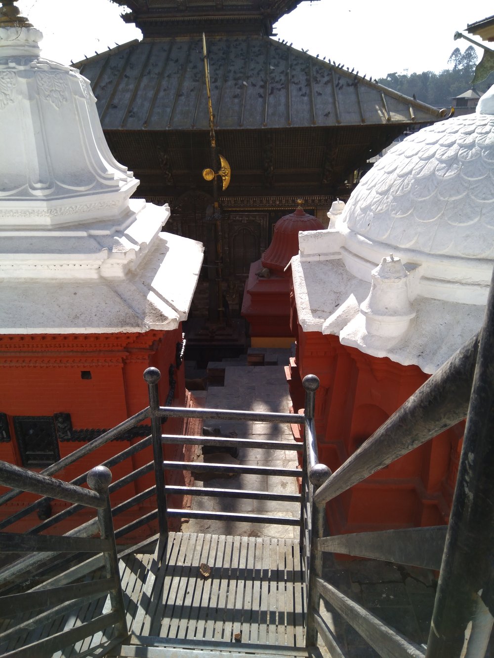 IMG_20171209_133849 Pashupatinath Temple, Kathmandu.jpg