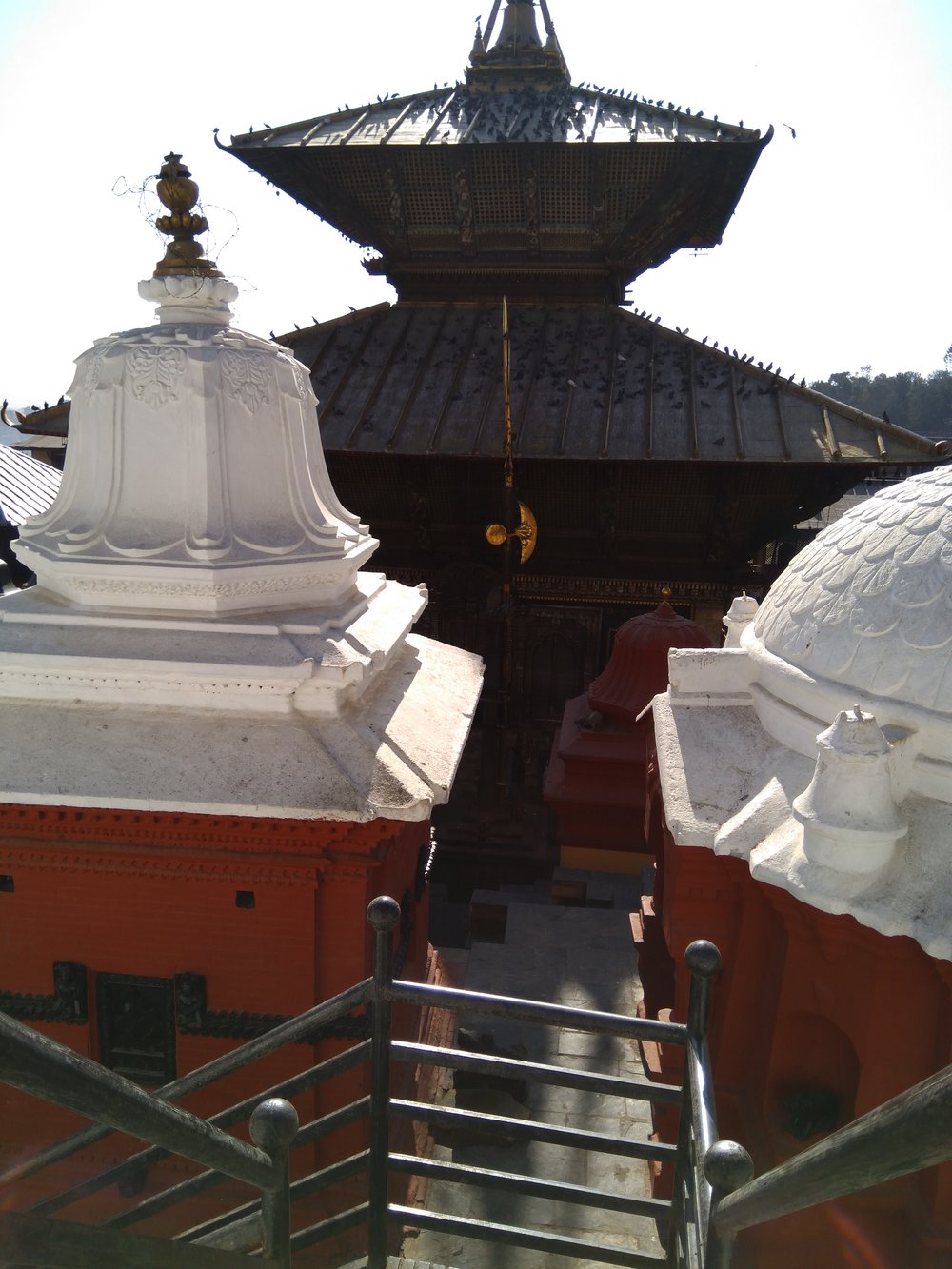 IMG_20171209_133854 Pashupatinath Temple, Kathmandu.jpg