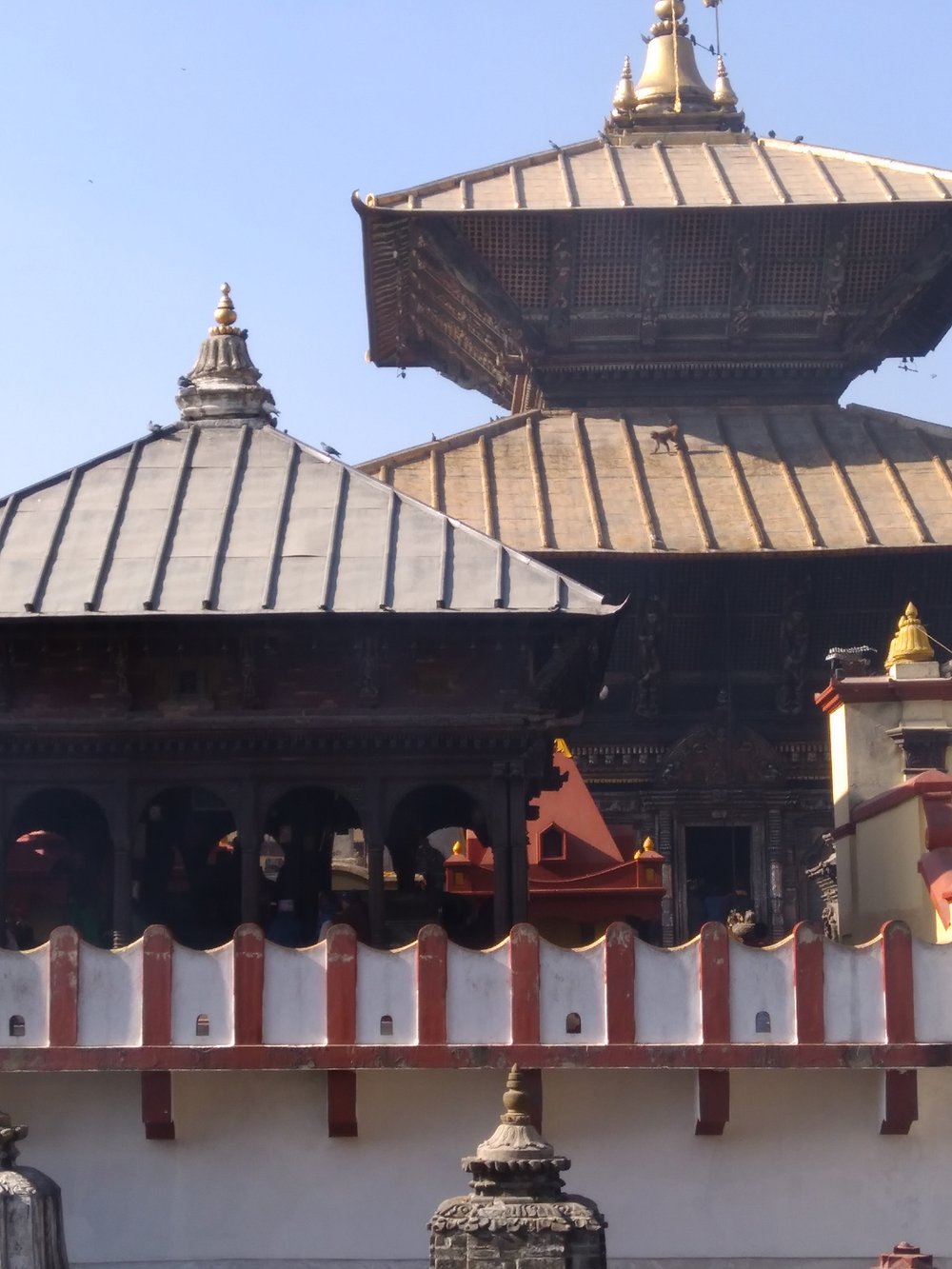 IMG_20171209_135735 Pashupatinath Temple, Kathmandu.jpg