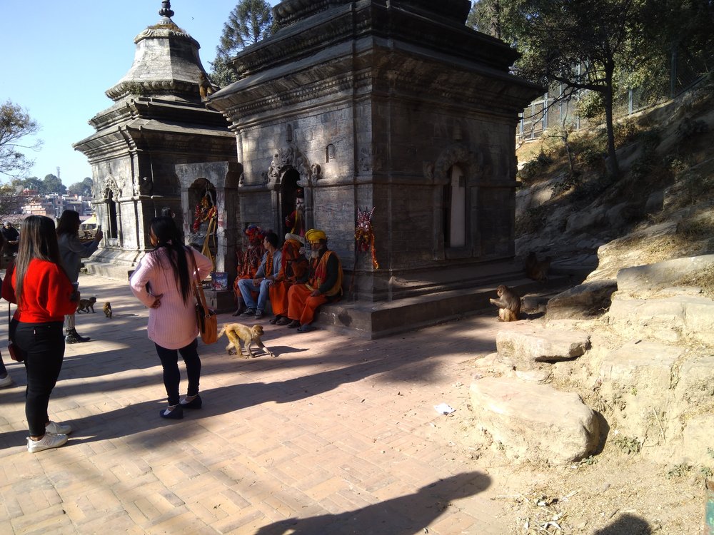 IMG_20171209_140700 Pashupatinath Temple, Kathmandu.jpg