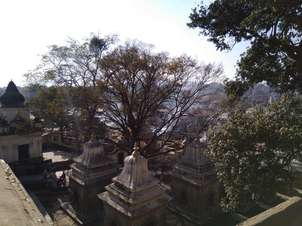 IMG_20171209_140844 Pashupatinath Temple, Kathmandu.jpg