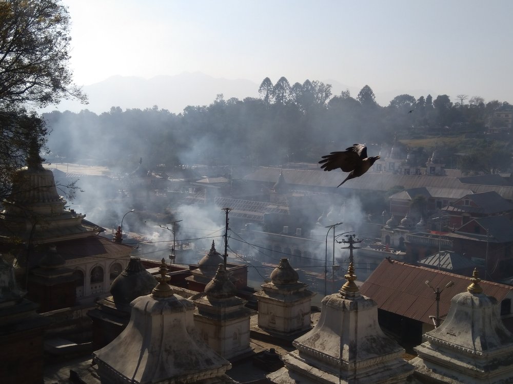 IMG_20171209_140948 Pira funeraria al Pashupatinath Temple, Kathmandu.jpg