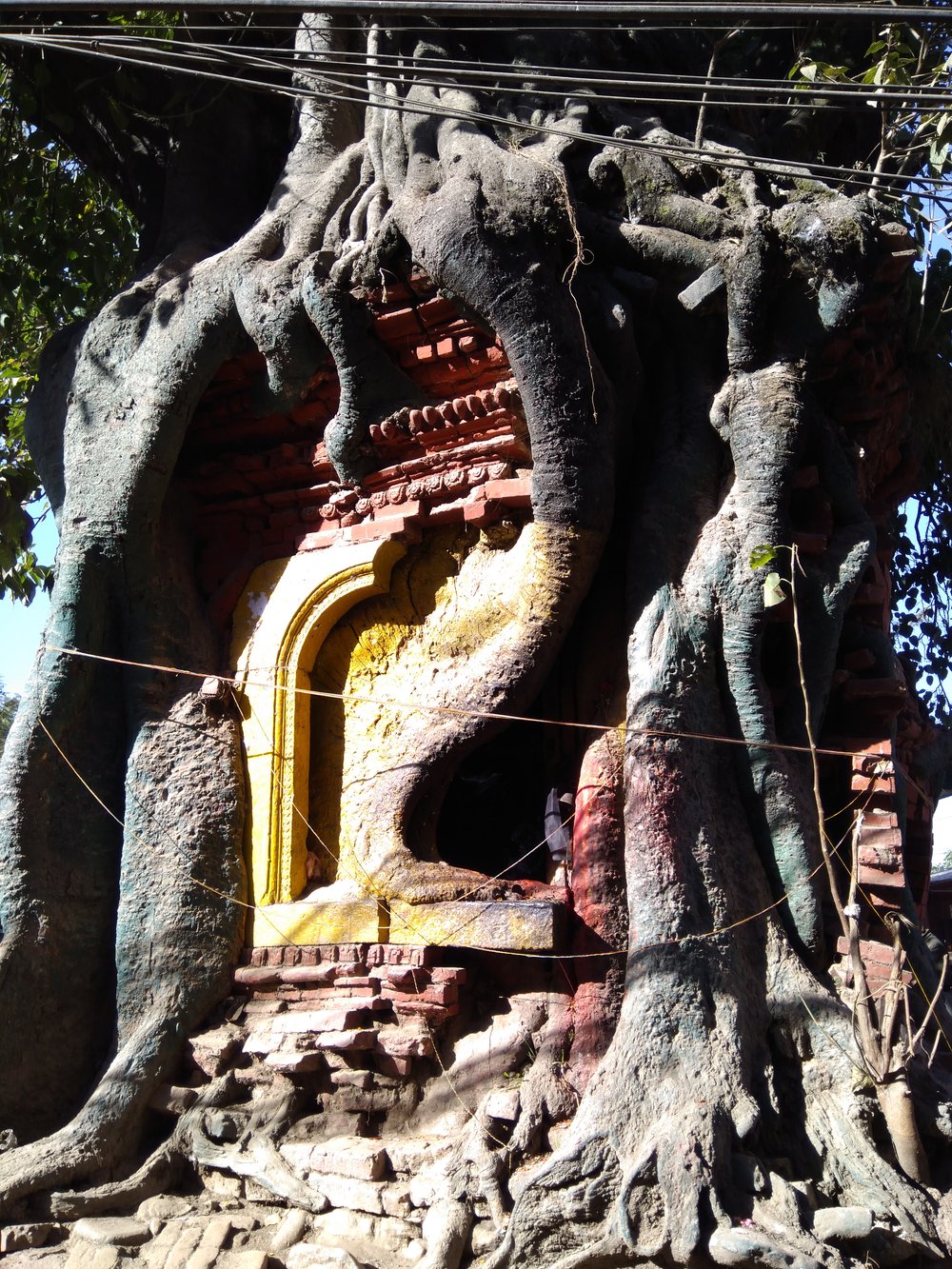 IMG_20171210_141256 Hindu Temple in a tree in Bhaktapur, Kathmandu.jpg