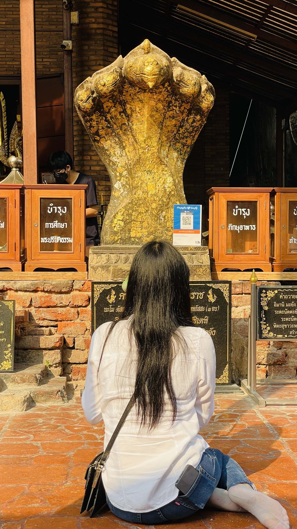 803 Waty Aichaimongkhol, Ayutthaya.jpeg