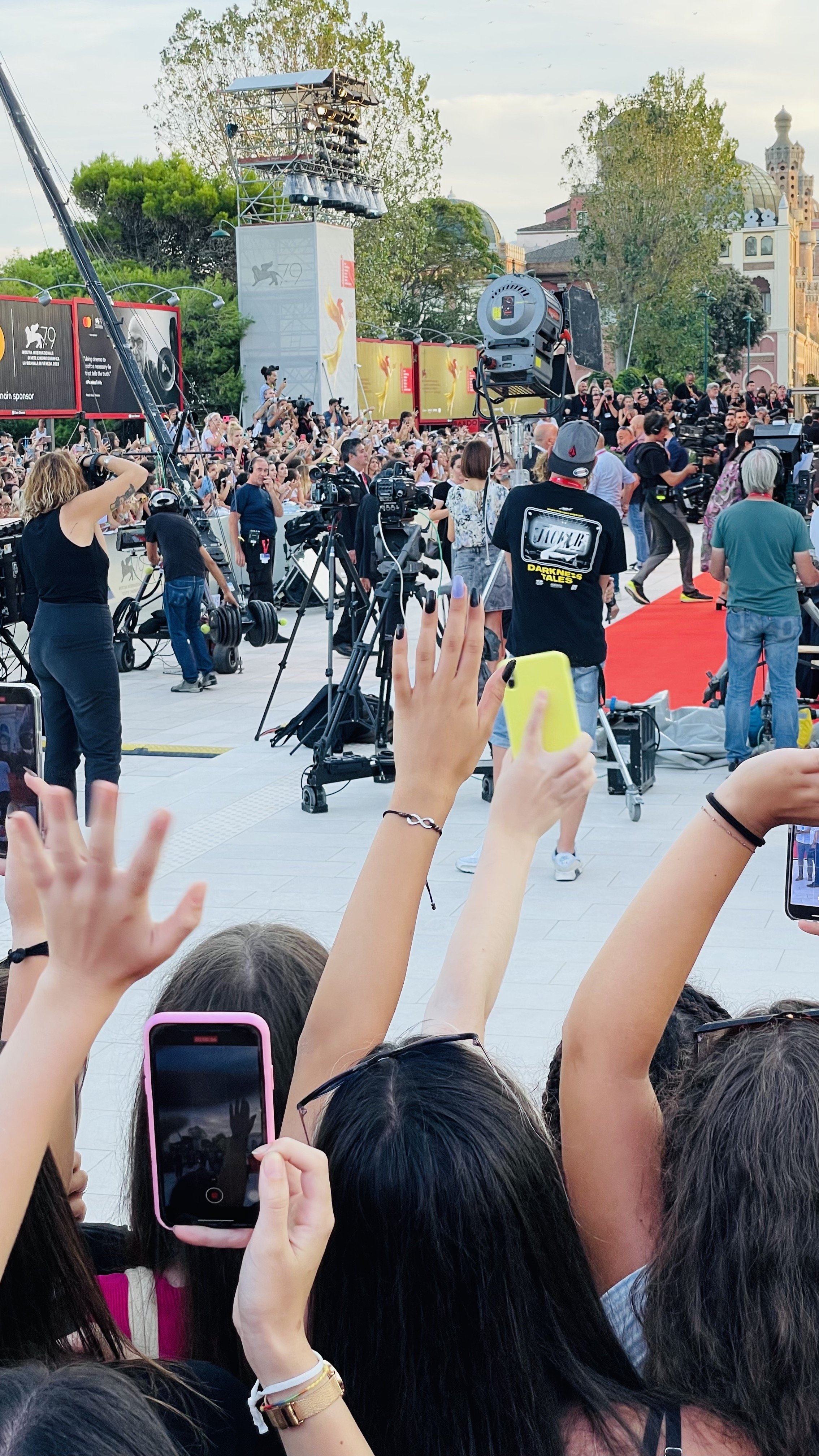 553 Il cast di Don't Worry Darling sul red carpet.jpeg