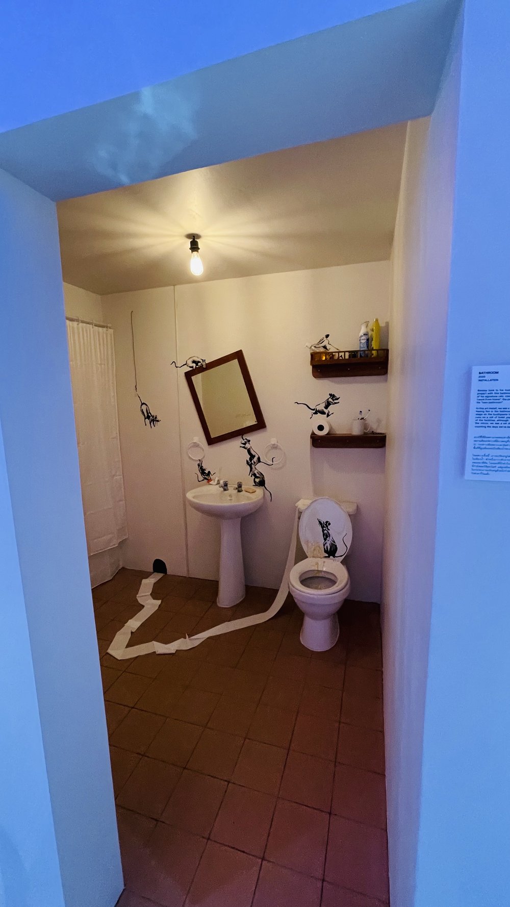 352 Bathroom, Bansky.jpeg