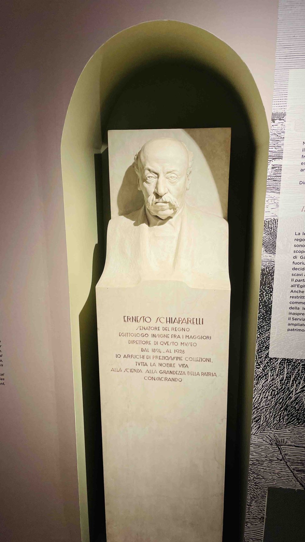Busto di Ernesto Schiaparelli Museo Egizio Credit photo: popcinema.org