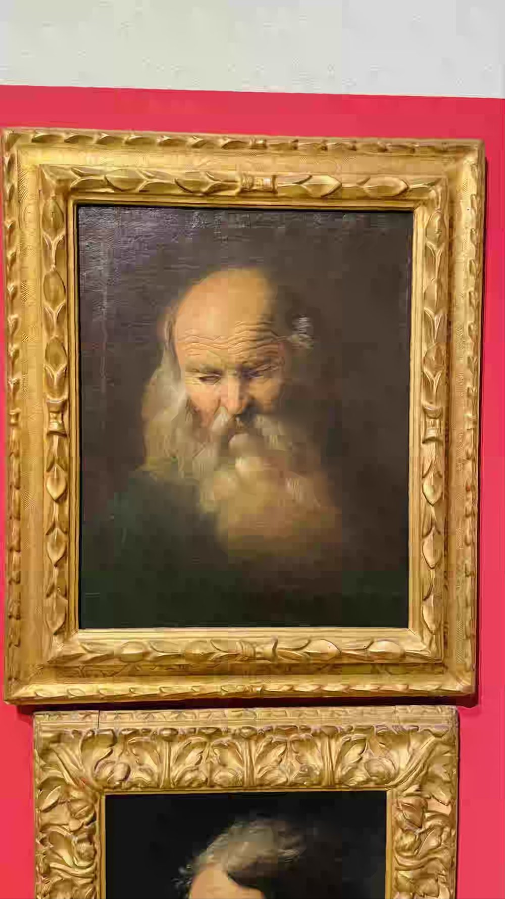 38 Pieter Paul Rubens (bottega di aterlier of), Testa di vecchio, Portrait of an Old Man.jpeg
