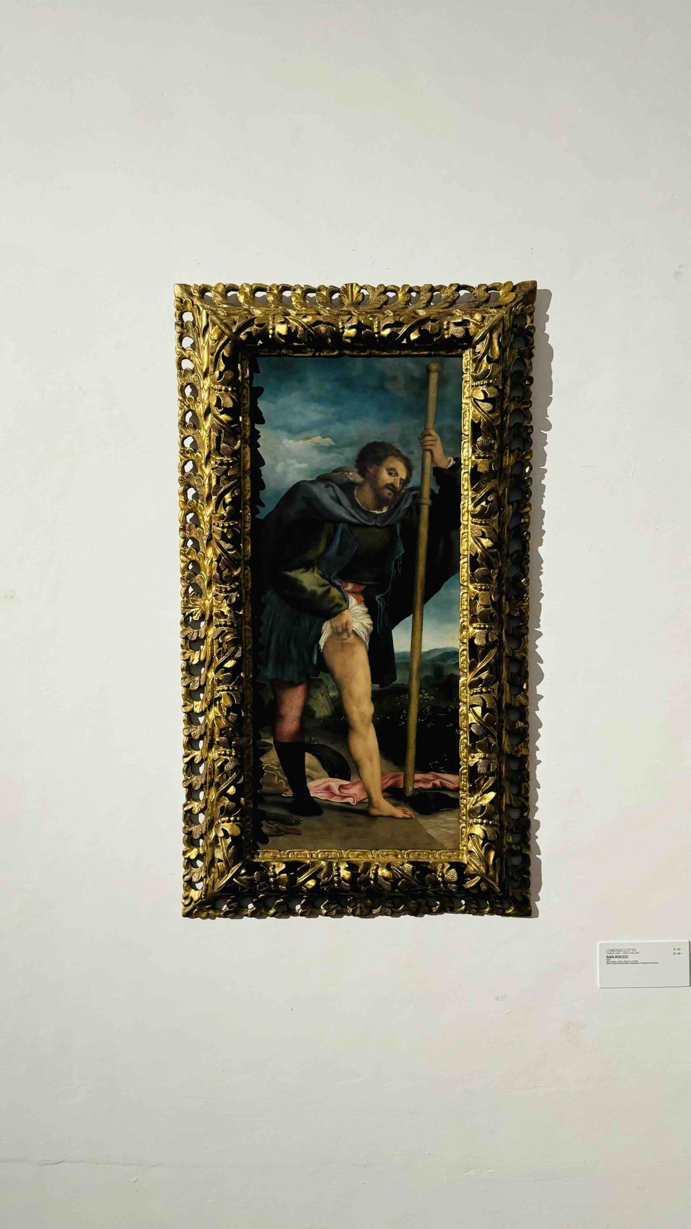 104 Lorenzo Lotto, San Rocco.jpeg