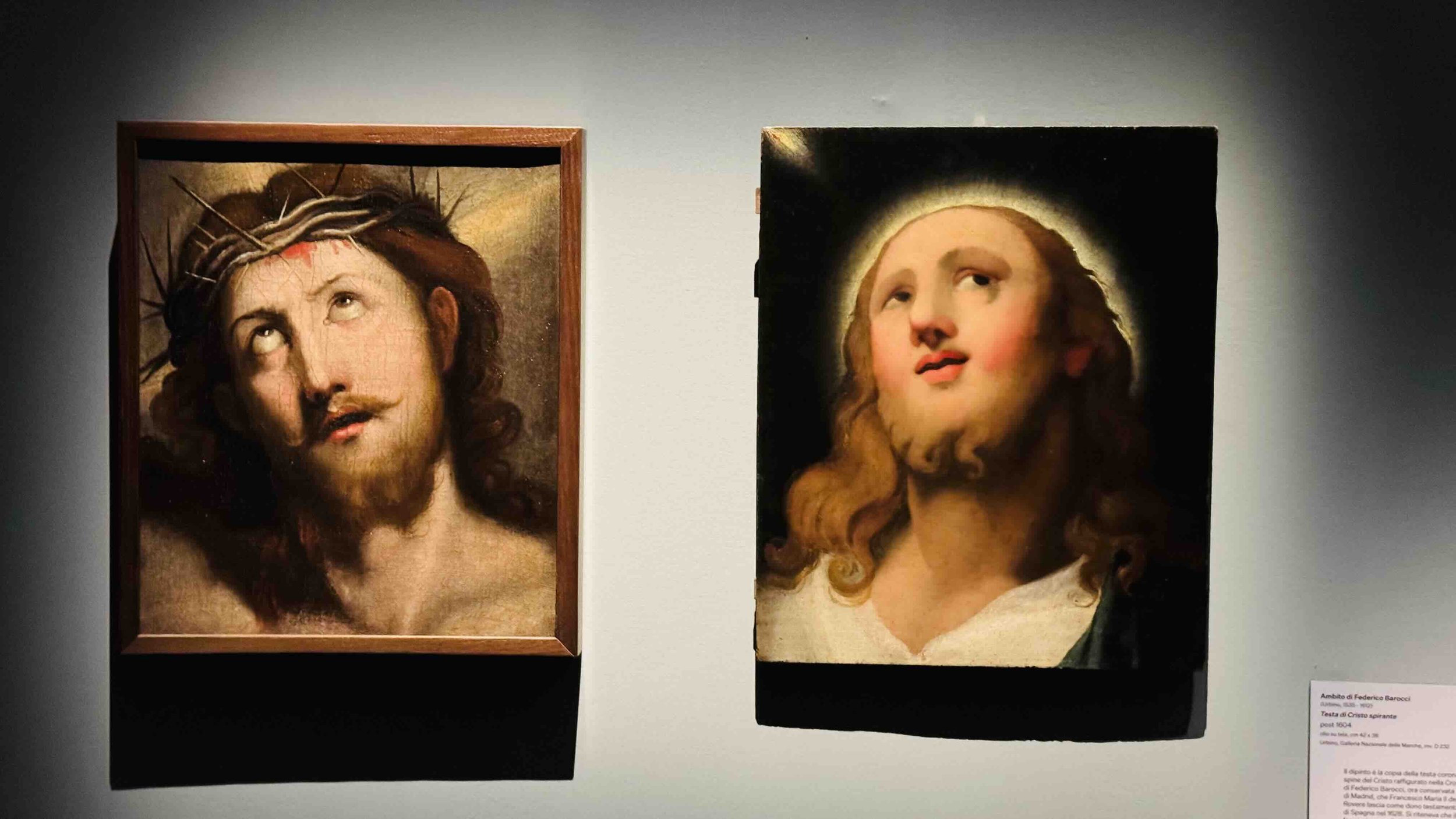 31 Ambito di Federico Barocci,Testa di Cristo spirante, 1604 e Anonimo da Antonio Allegri, detto Correggio,Testa di Cristo.jpeg