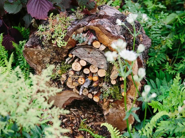 © www.katweatherill.com