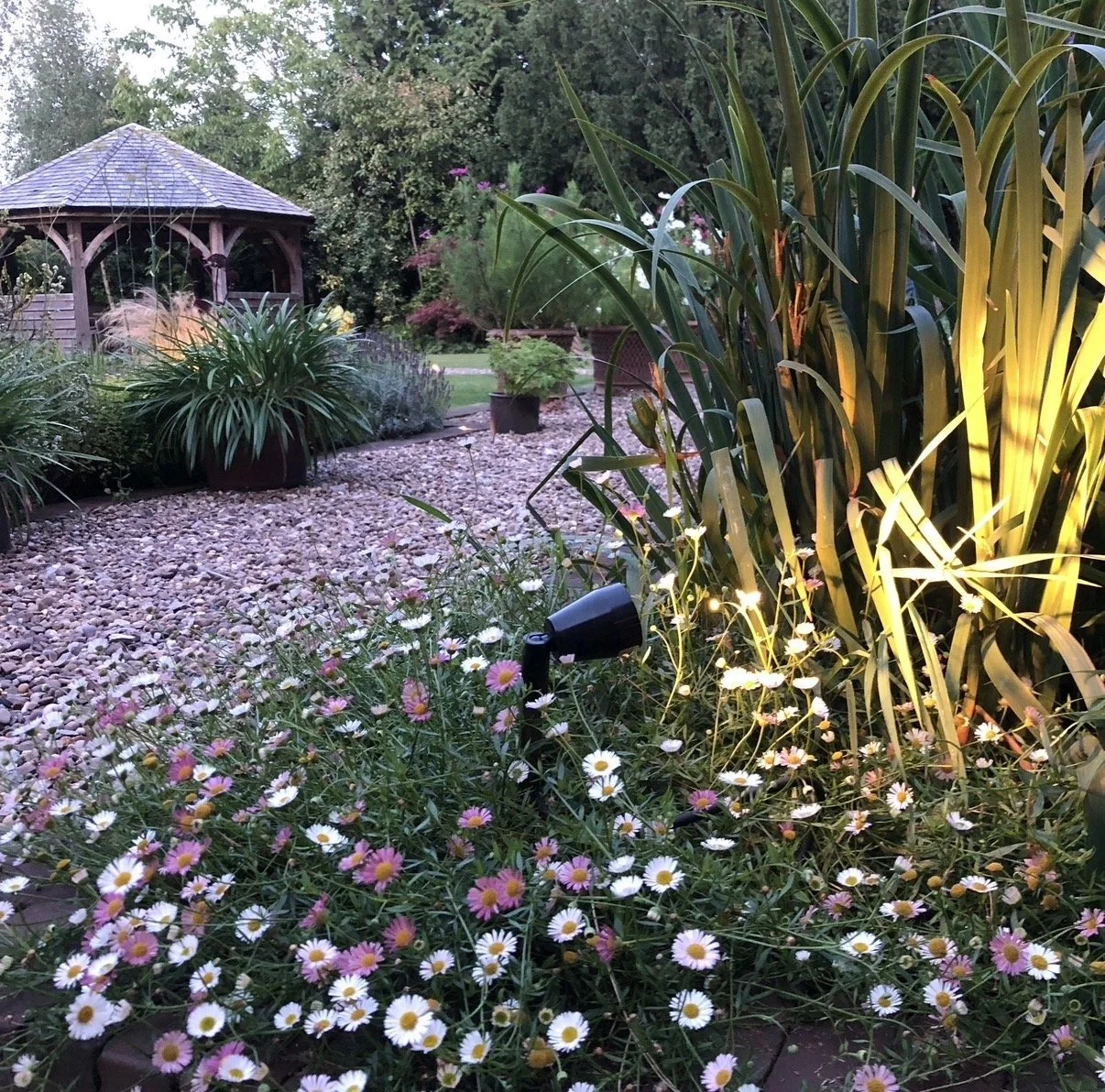 FEATURED ON BBC GARDENER'S WORLD