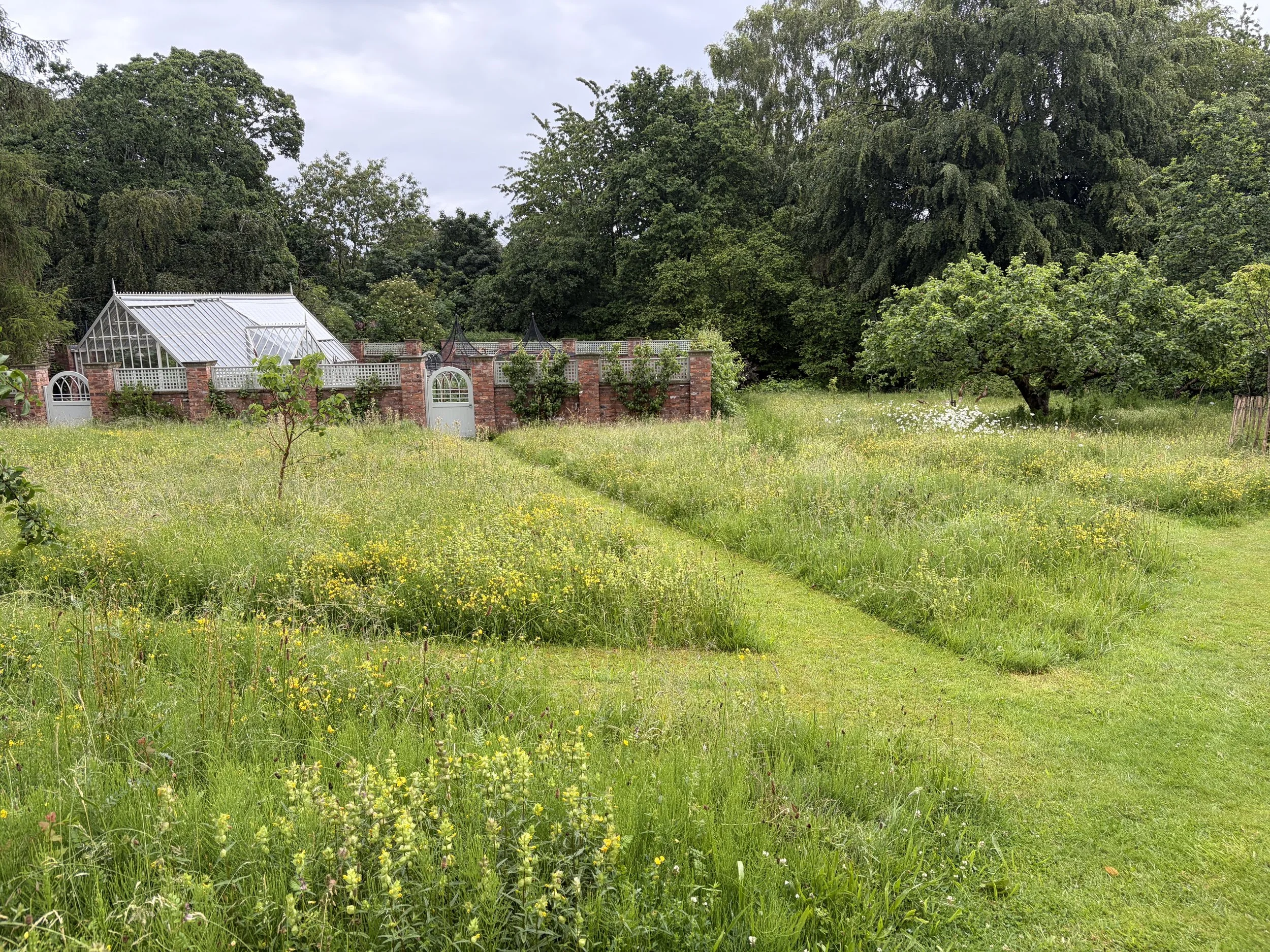 Victorian inspired kitchen garden set with Wildflower Meadow 