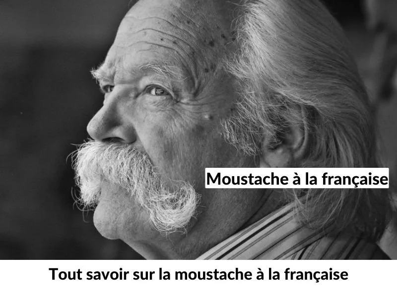 Tout savoir sur la moustache à la française