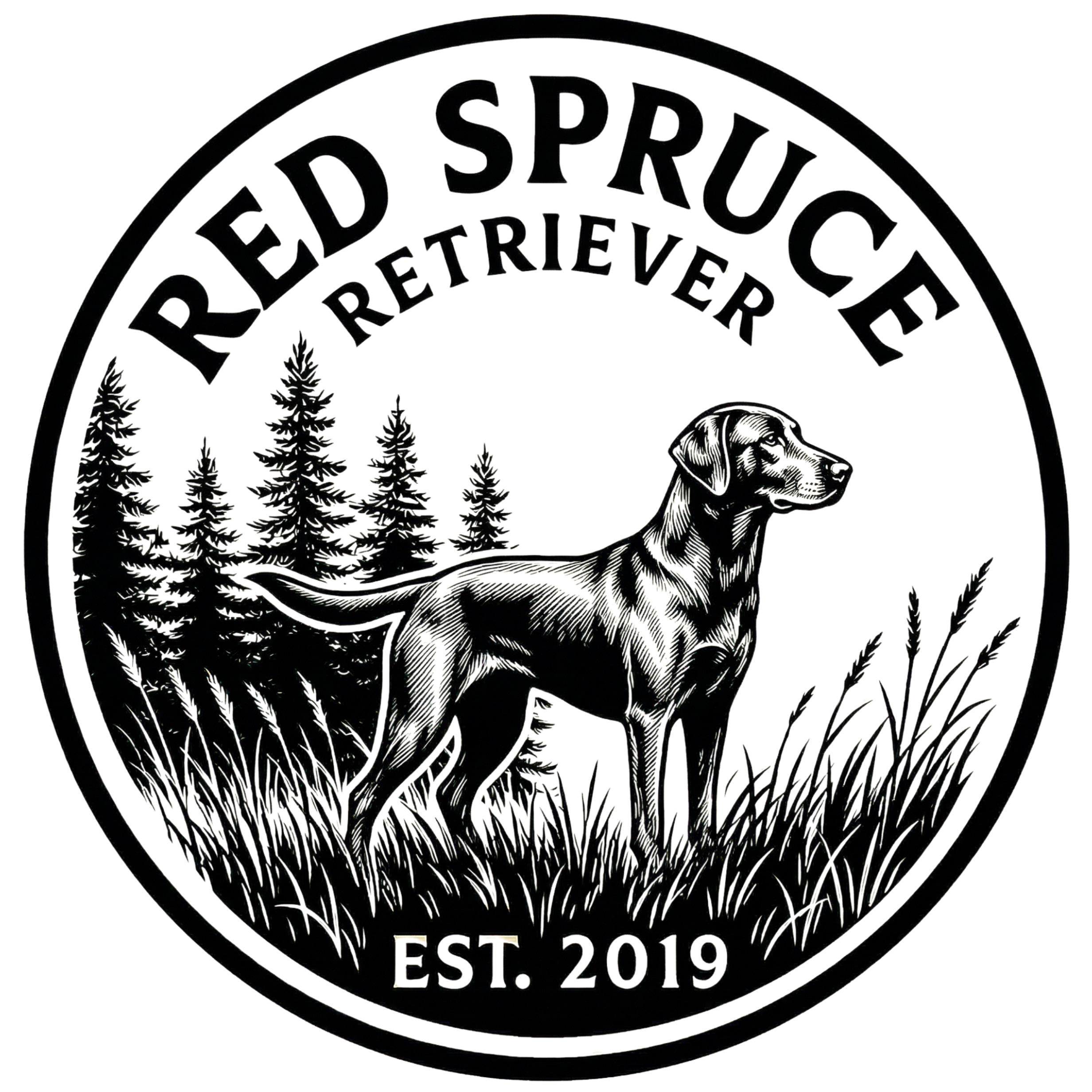 Red Spruce Retriever