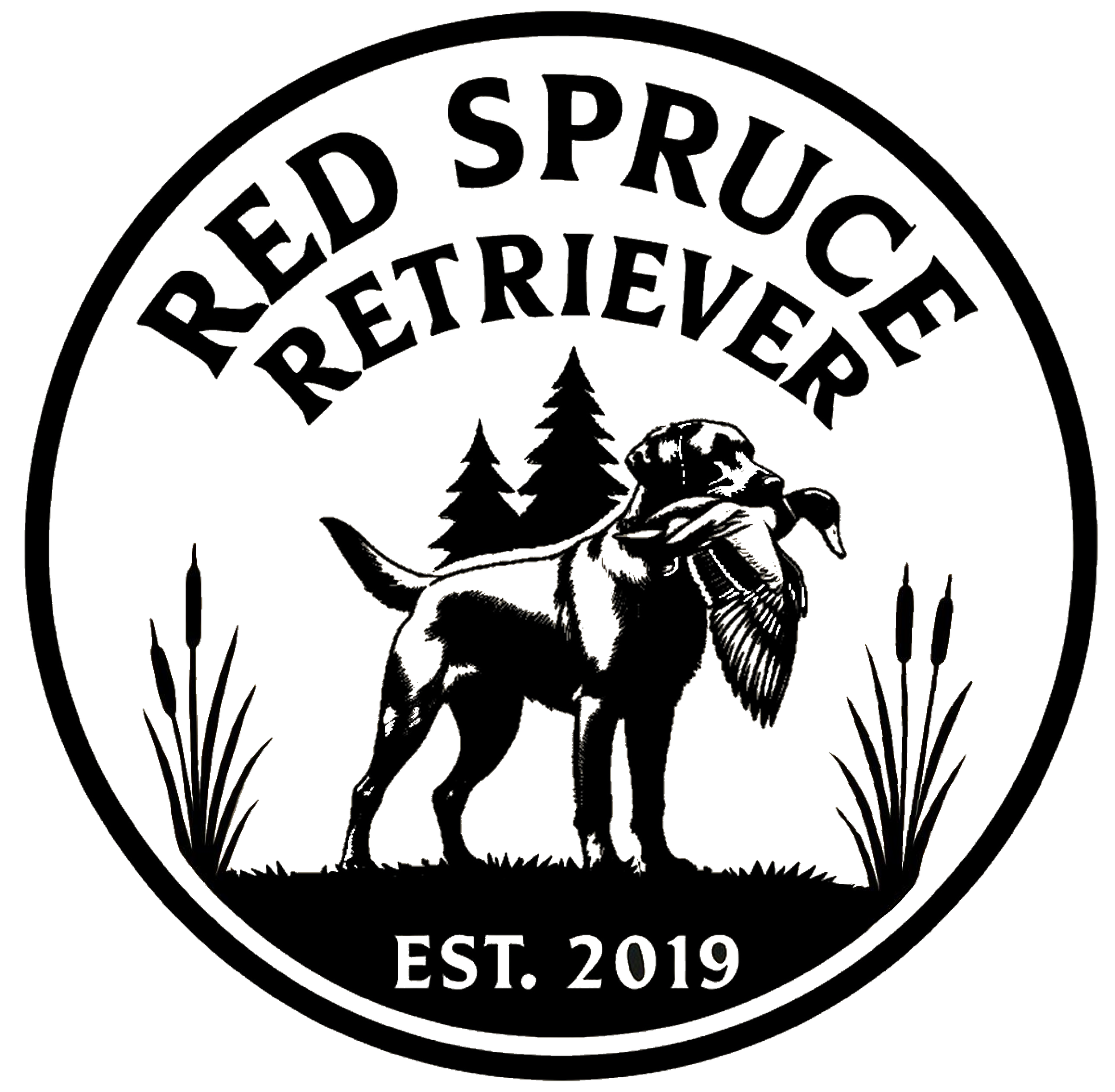 Red Spruce Retriever