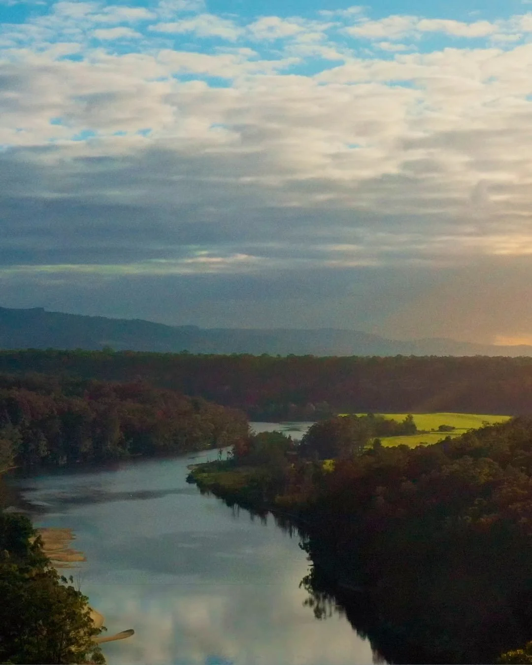 𝗛𝗘𝗥𝗘 𝗙𝗘𝗦𝗧𝗜𝗩𝗔𝗟 𝟮𝟬𝟮𝟲⁣
⁣
Nature evolves through relationship, forests do not grow tree by tree, rivers do not flow drop by drop, and ecosystems do not evolve through isolated participants. Nature organises collectively, and human conscio