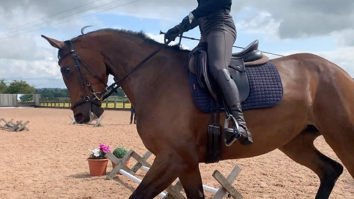 LET&rsquo;S DANCE (April) getting the practice in before @british_dressage regionals 🦄 she&rsquo;s feeling amazing and starting to work on more advanced movements

.
.
.
#britisheventing #britishshowjumping #britishdressage #eventing #showjumping #d