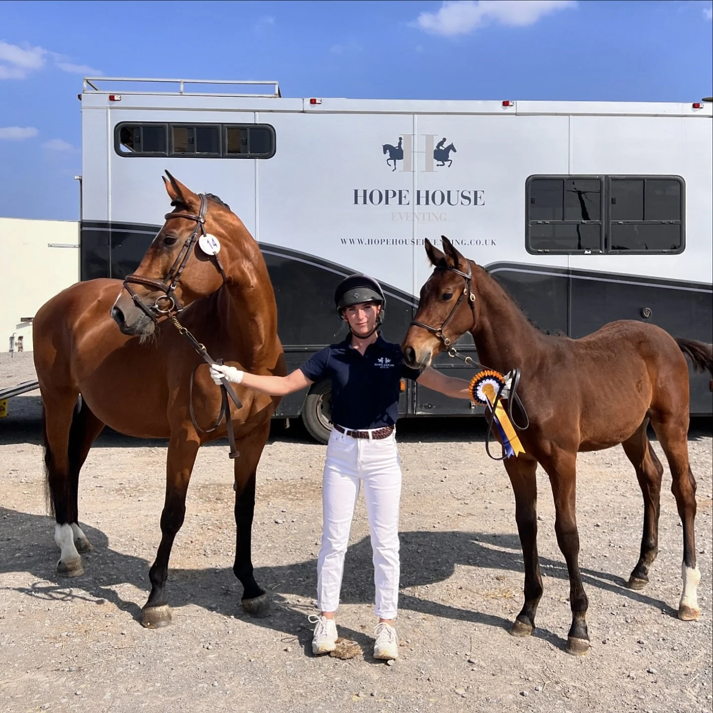 🥇 ELITE GRADED COLT 🥇

Hope House Dark and Stormy aka Bison 🦬 (Numero Uno x Argento) received a fantastic ELITE score of 9.35 at todays @britishbreeding futurity including a 9.5 for his canter and a 9.75 for the vet

A very successful year of bree