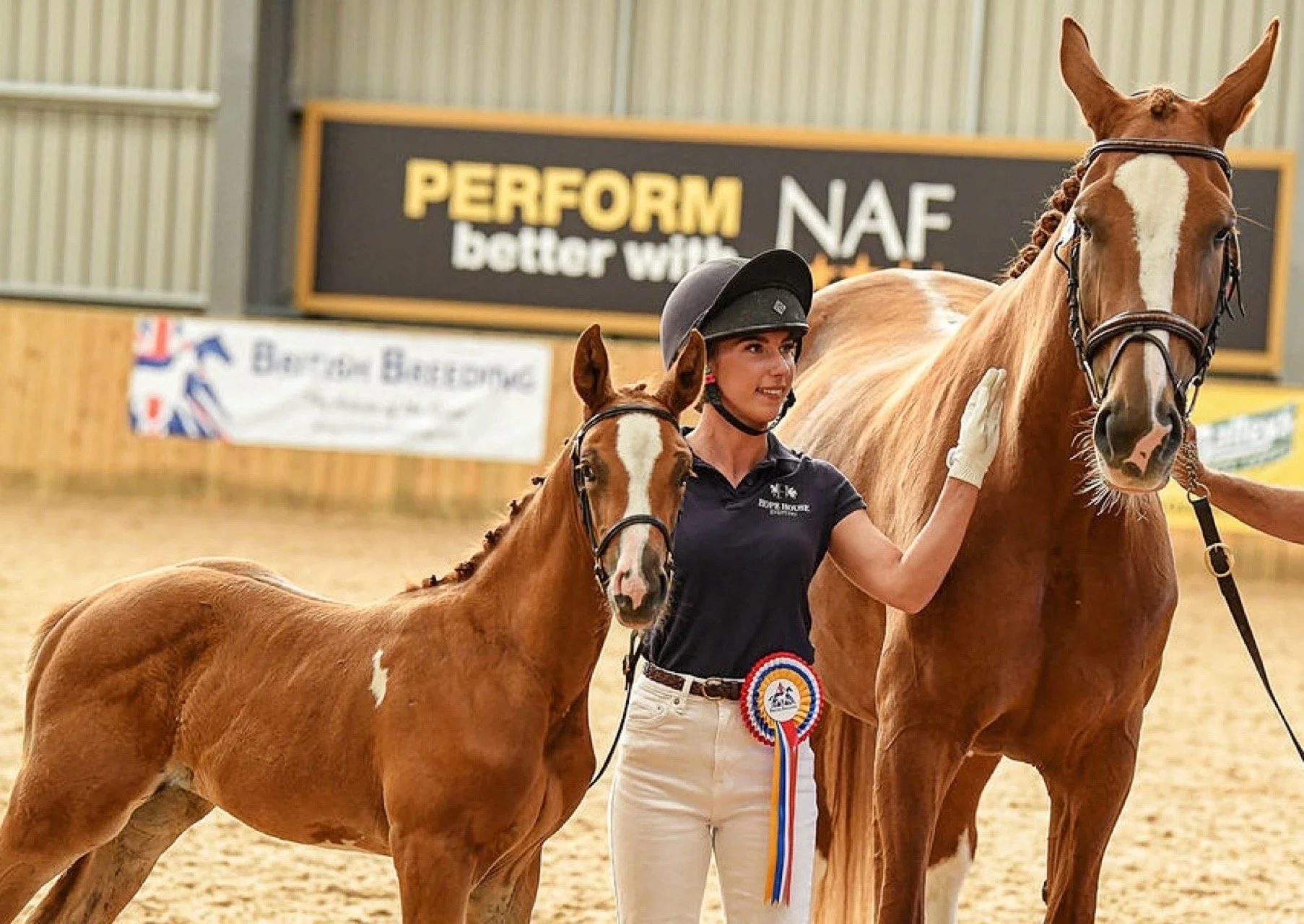 Hope House Mimosa - No.3 ranked Showjumping Youngstock in the UK