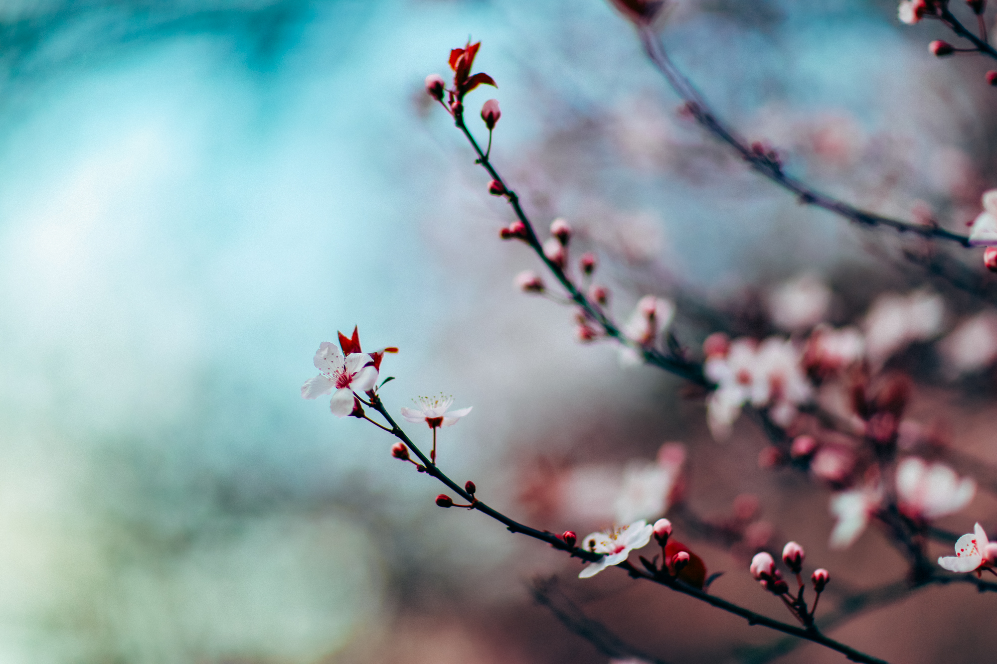 11 benefits of being a Christian