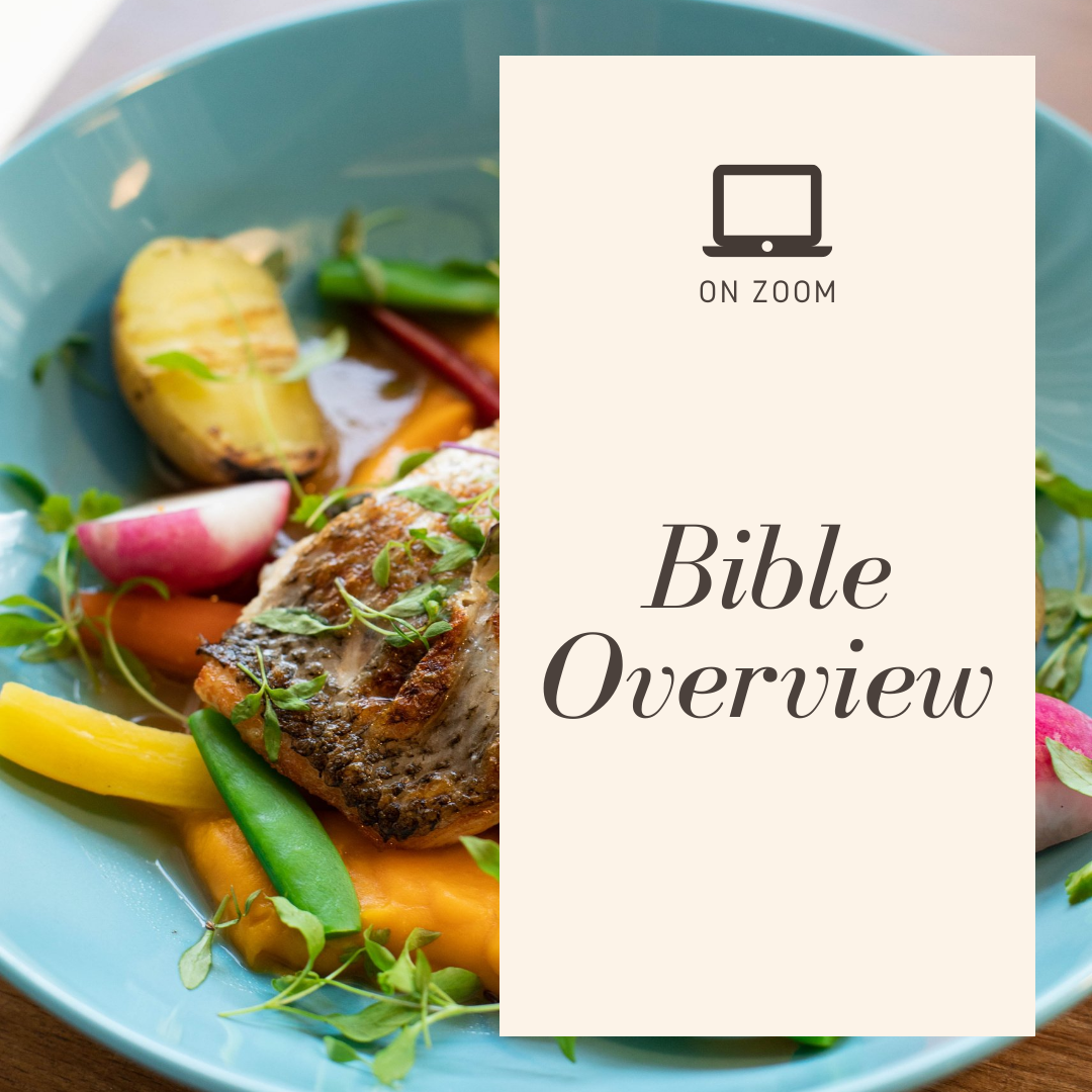 Bible Overview