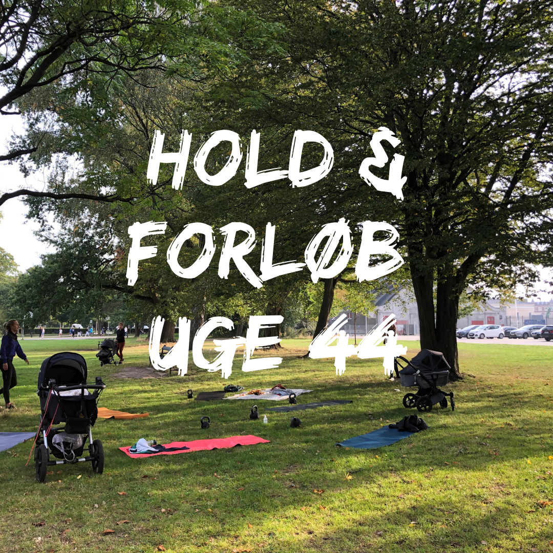 Nye hold og forløb: uge 44